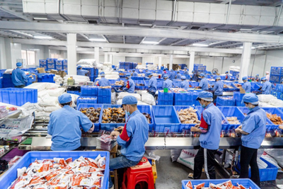 2000萬(wàn)袋螺螄粉備戰(zhàn)天貓雙11 銷售額暴增四倍與家用電器零配件銷售熱潮共舞